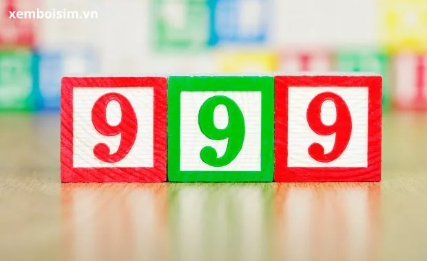 Số 999 có ý nghĩa gì trong tình yêu? Khám phá ý nghĩa đặc biệt số 999